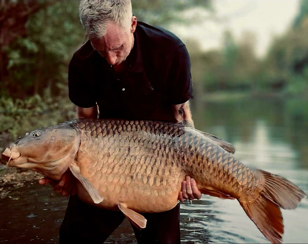 84lb 4oz Labyrinth Common For New Customer Jamie