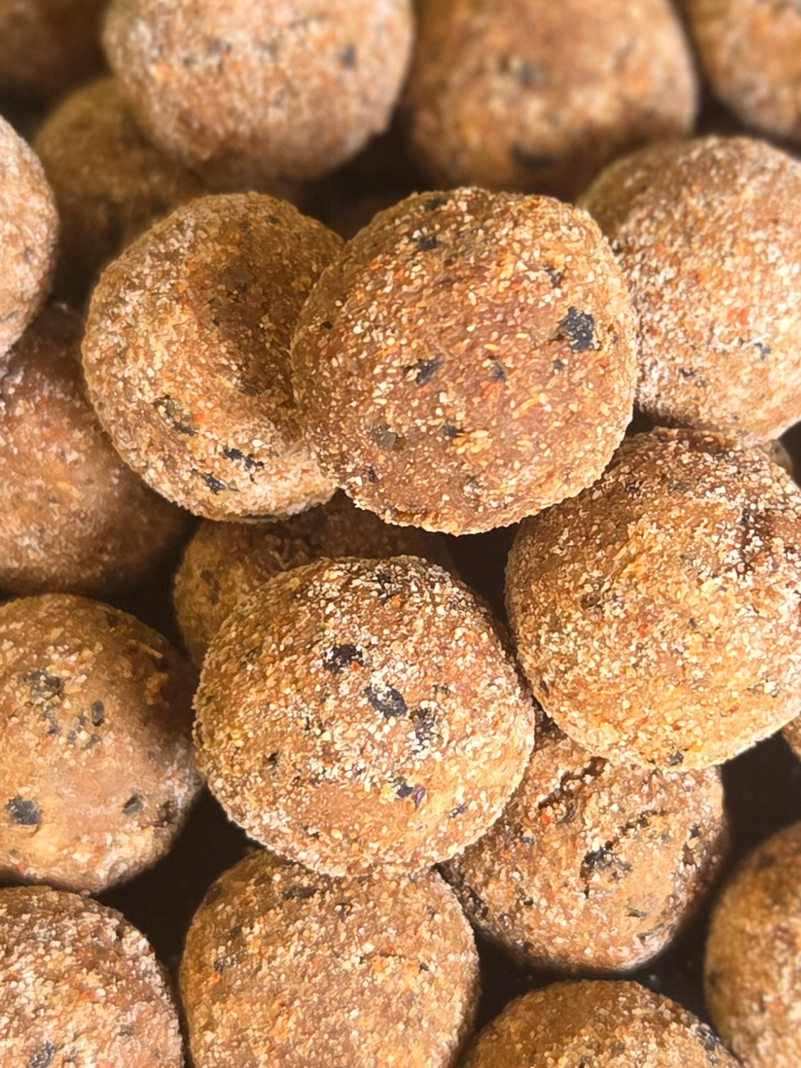 PACIFIC PULSE BOILIES