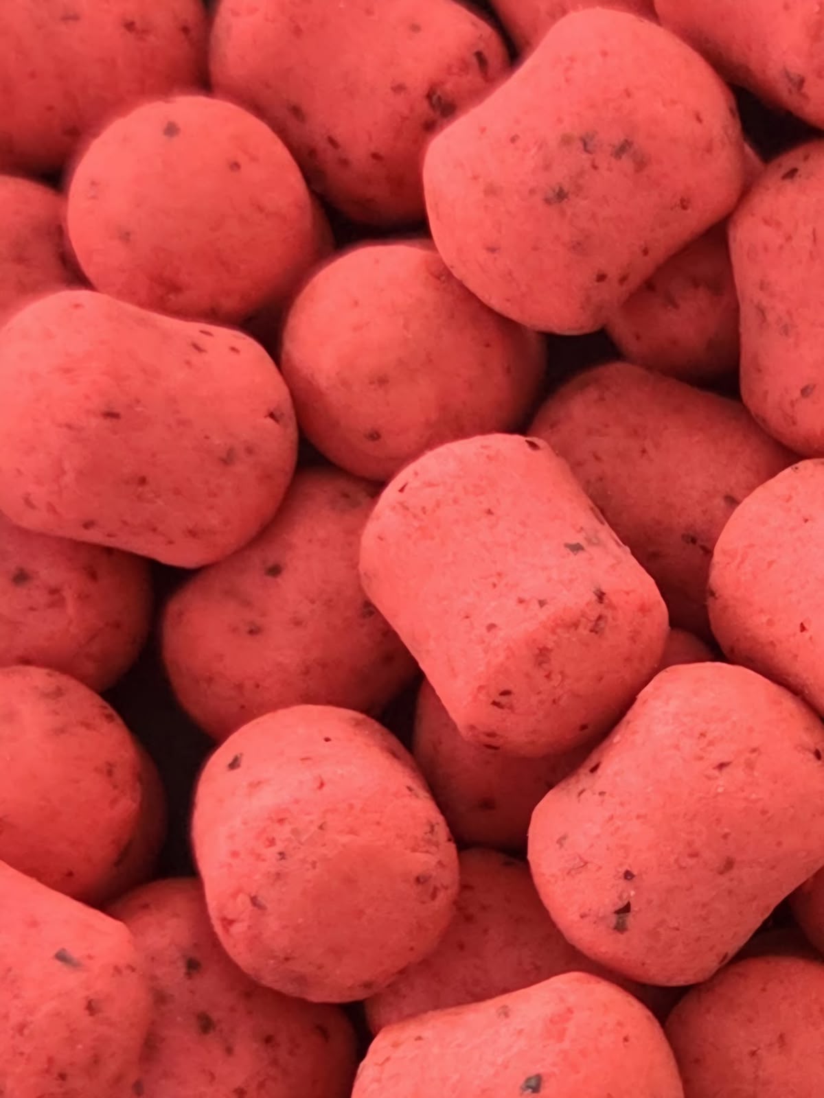 PACIFIC PULSE DUMBELL WAFTERS
